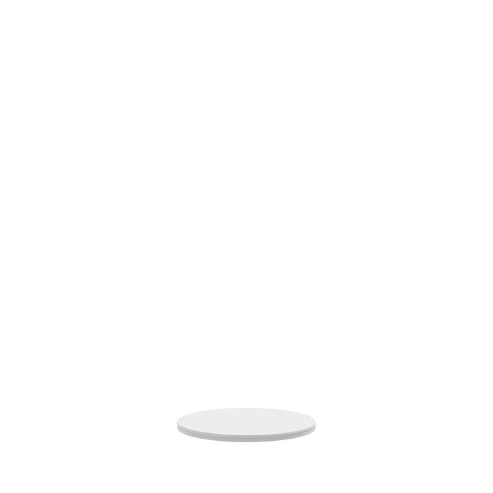 32445 Disc